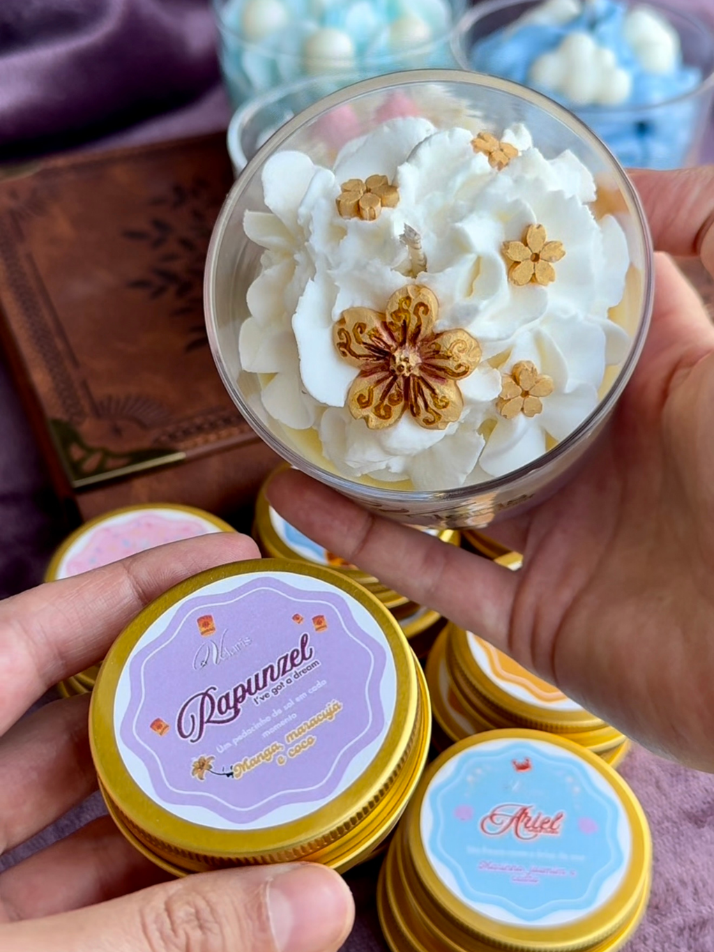 Discovery set: Princesas Disney