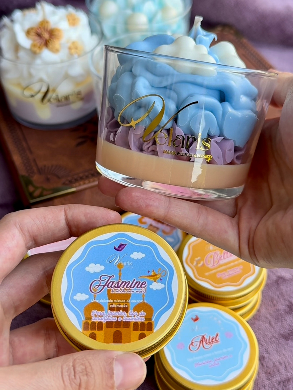 Discovery set: Princesas Disney